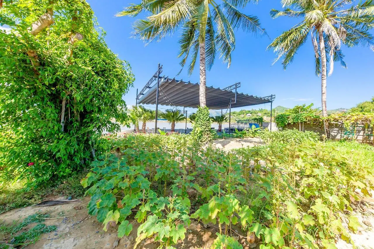 Отель Oyo 426 Klaus Resort Нячанг